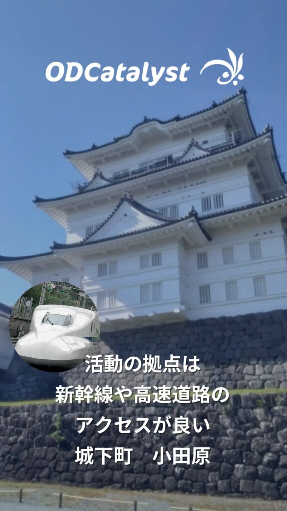 ODCatalyst コーチング、DiSC、CheckPoint360°