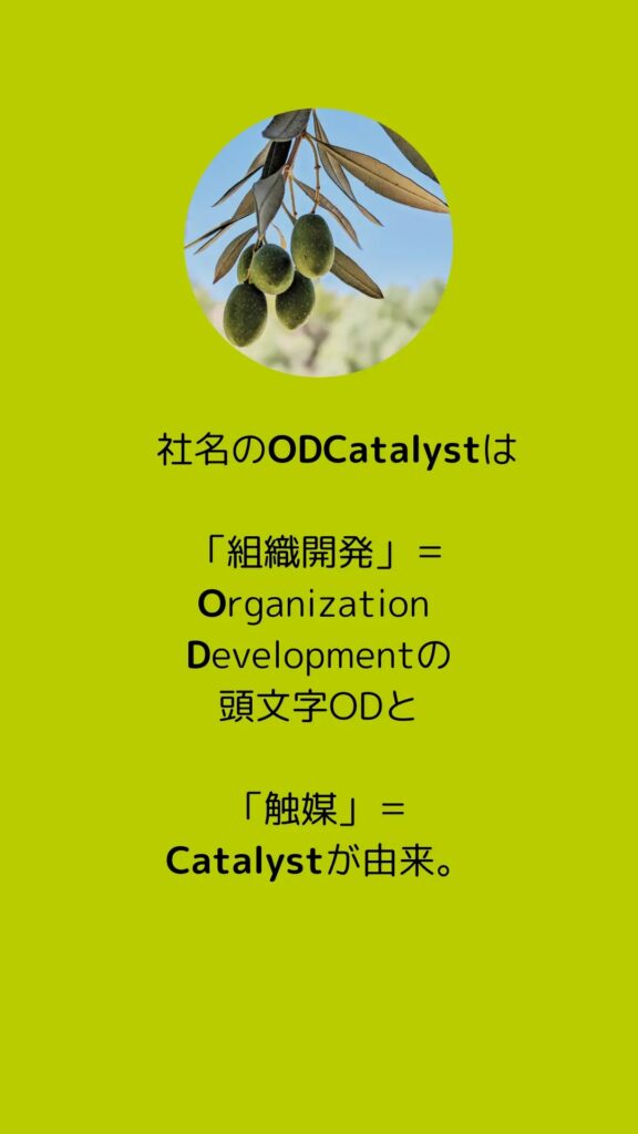 ODCatalyst コーチング、DiSC、CheckPoint360°